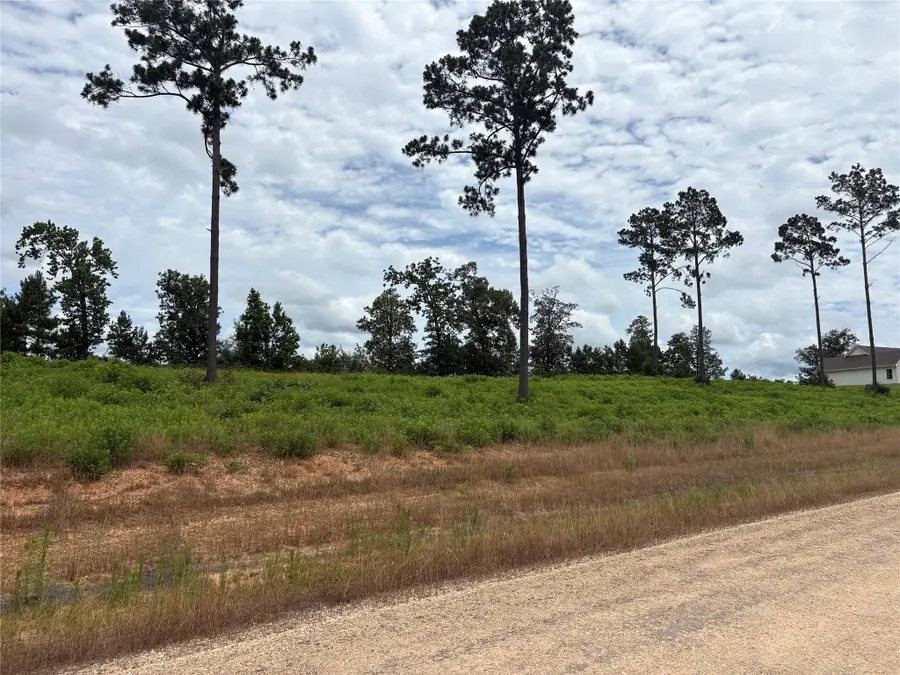 Lot 277 Tranquility Road, Livingston, TX 77351 - #3