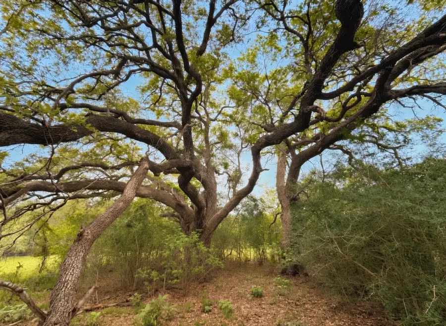 958 Cr 456, Gonzales, TX 78629 - #3