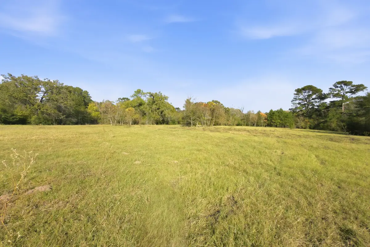 TBD County Rd 204, Plantersville, TX 77363 - Image #1