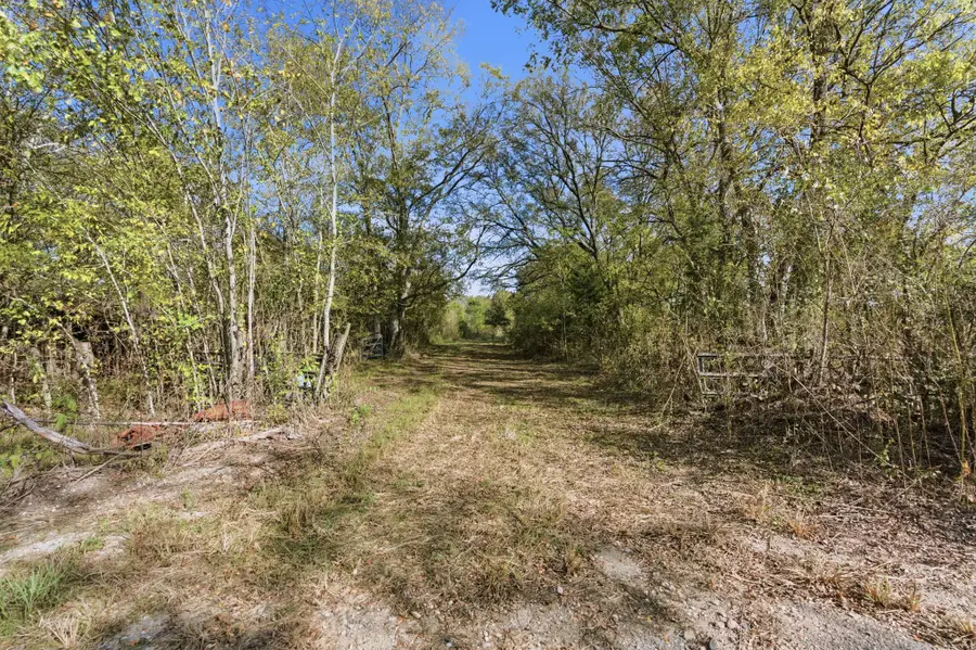 TBD County Rd 204, Plantersville, TX 77363 - Image #2