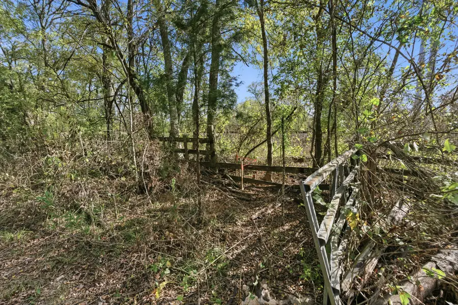 TBD County Rd 204, Plantersville, TX 77363 - Image #3