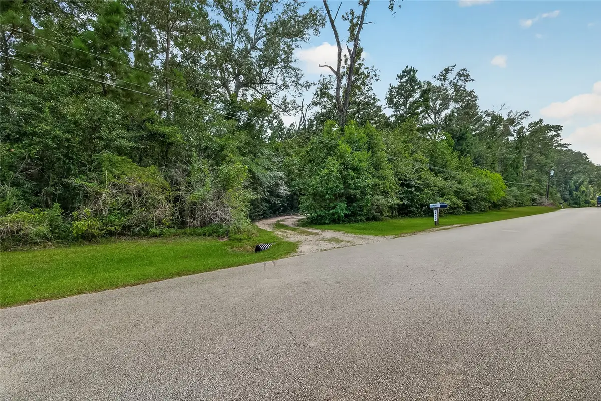 14303 Lyric Road, Conroe, TX 77302 - #1