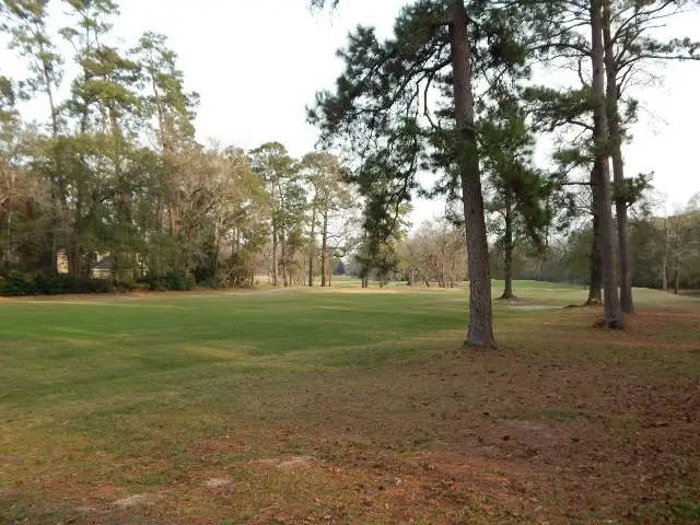 615 River Plantation Drive, Conroe, TX 77302 - Image #3