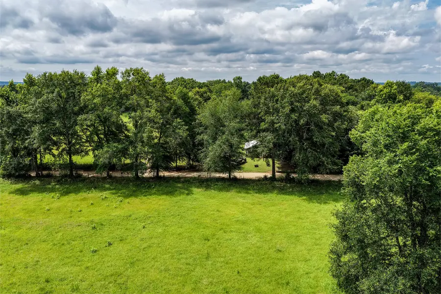 341 Cr 1675, Grapeland, TX 75844 - #3