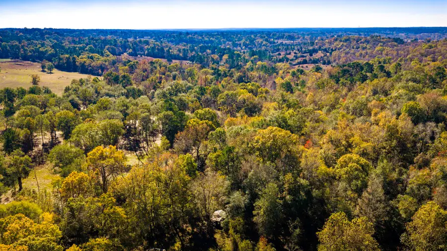 0 Live Oak Lane, Coldspring, TX 77331 - Image #3