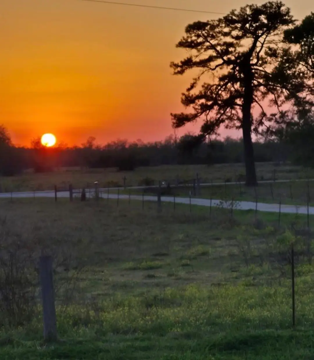 1030 County Road 190, Liberty, TX 77575 - Image #1