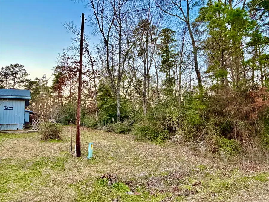 TBD Tallow Street, Onalaska, TX 77360 - #2