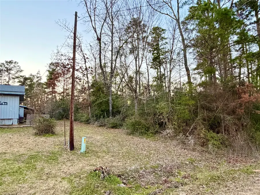 TBD Tallow Street, Onalaska, TX 77360 - #3