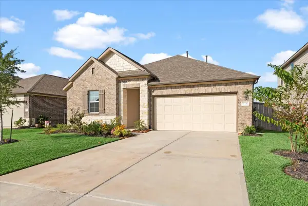 17111 Daylily Dune Way, Hockley, TX 77447
