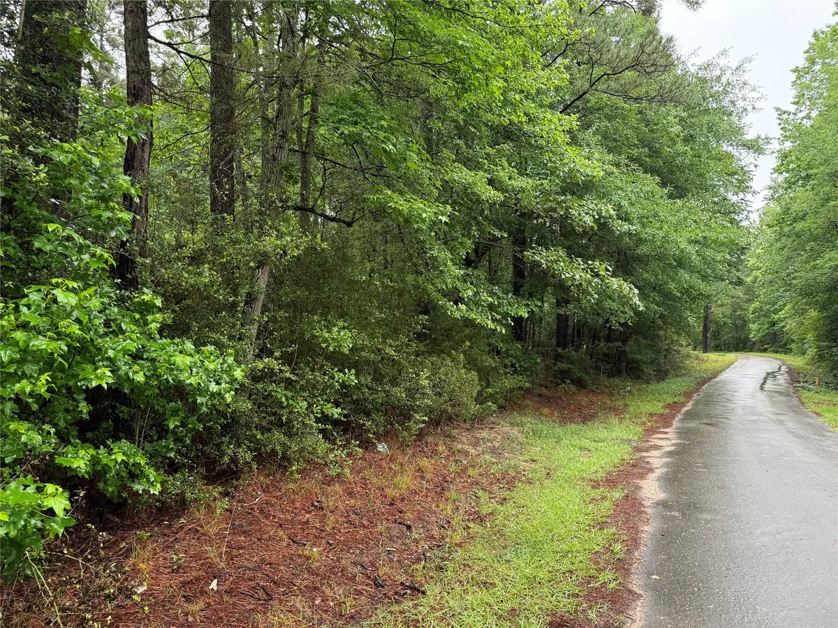 Lot 2 John Keely Road, Zavalla, TX 75980 - #1