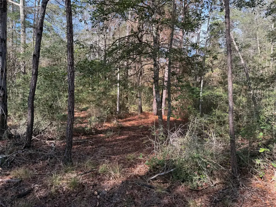 Lot 2 John Keely Road, Zavalla, TX 75980 - #2
