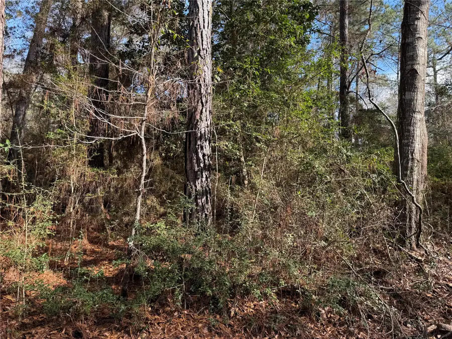 Lot 2 John Keely Road, Zavalla, TX 75980 - #3