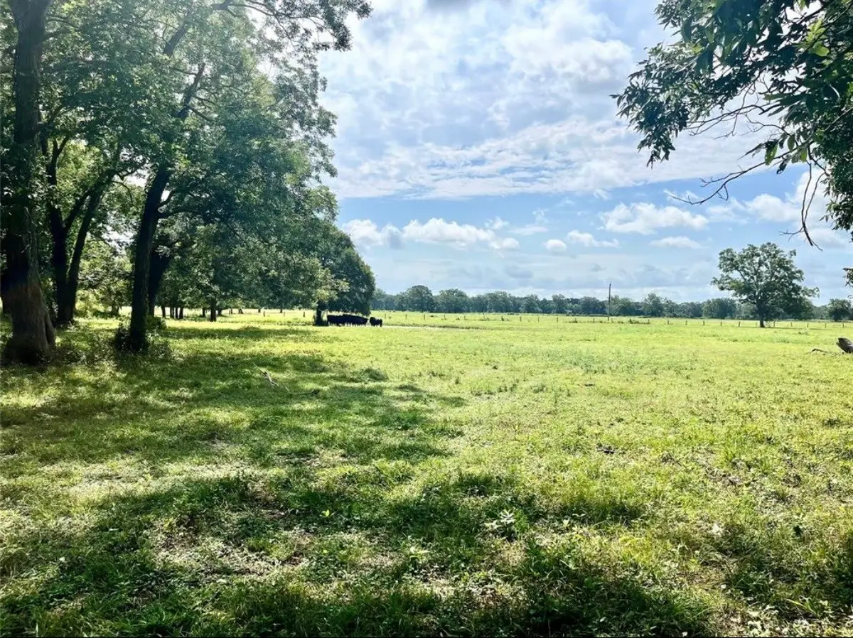 0 S County Road 263, Eagle Lake, TX 77434 - #1