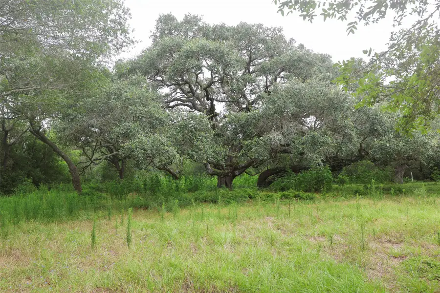 1340 Cr 253, Weimar, TX 78962 - #2