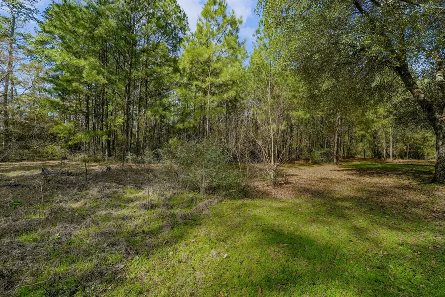 15245 Shady Oaks Drive, Stagecoach, TX 77355 - Image #2