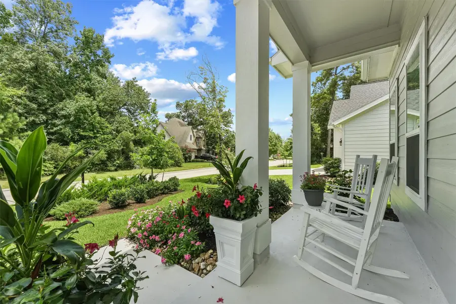 117 Sanderling Lane, Montgomery, TX 77316 - #3