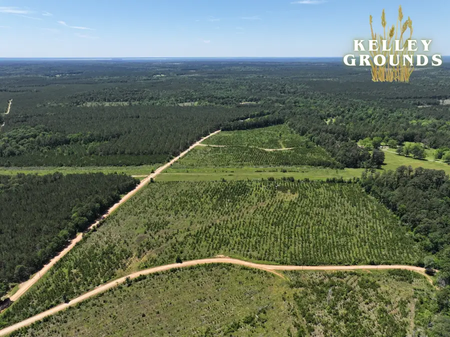 2-10 Kelley Road, Livingston, TX 77351 - Image #3