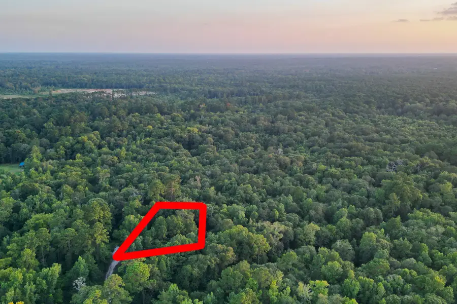 00 County Road 3612, Splendora, TX 77372 - #2