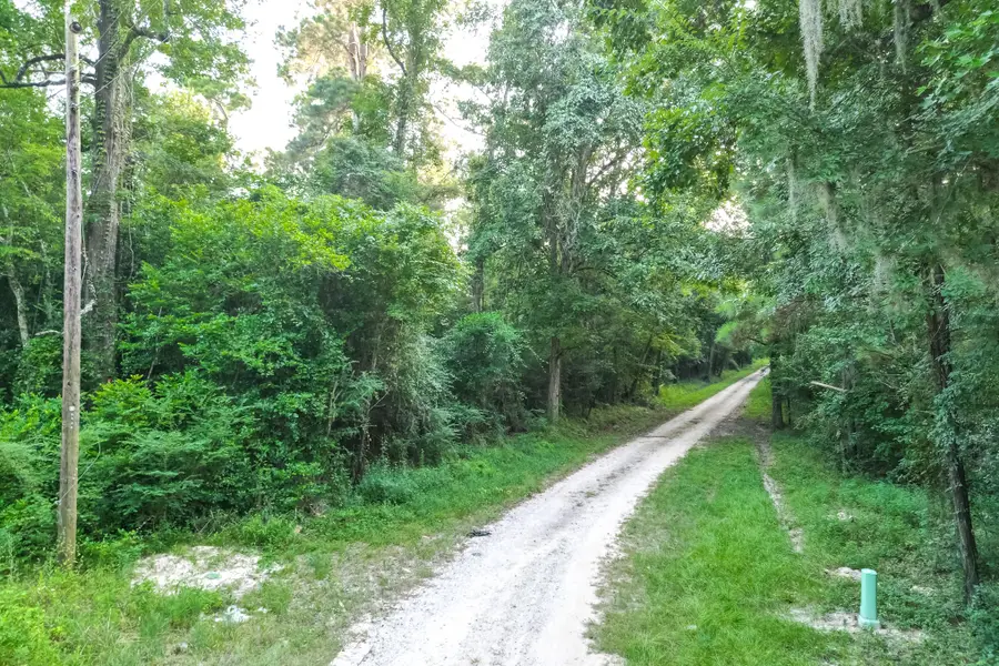 00 County Road 3612, Splendora, TX 77372 - #3