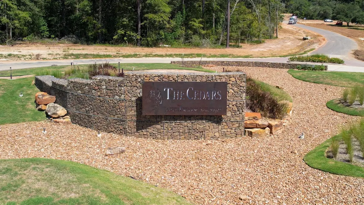 9601 Old Cedars Court, Plantersville, TX 77363 - #1