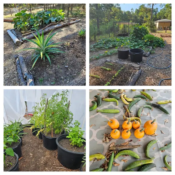 391 Deer Country Road, Chester, TX 75936