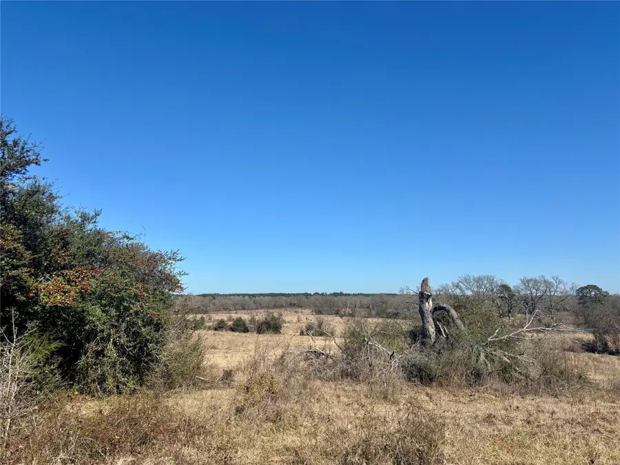 tbd Cr 3305, Crockett, TX 75835 - Image #2