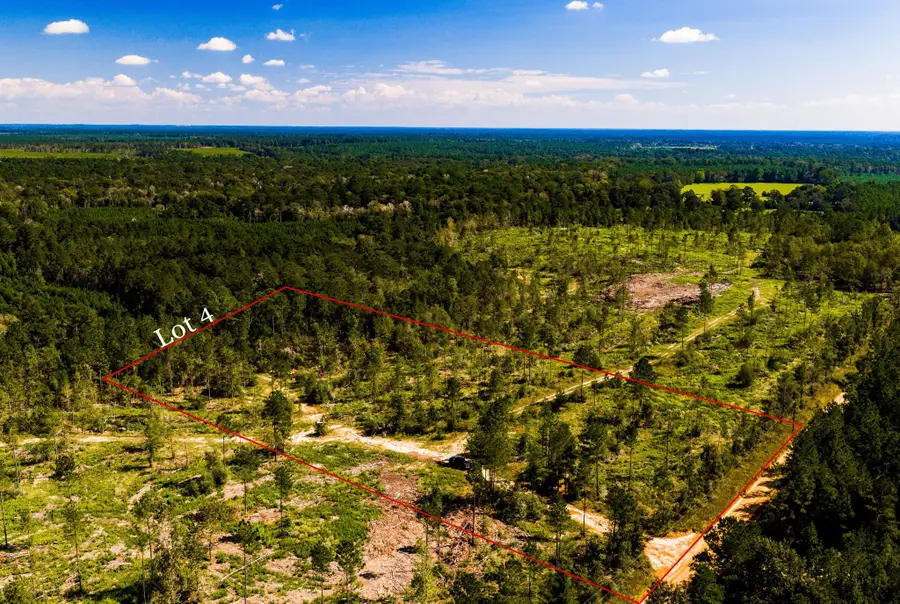 004 Buddy Lloyd Rd, Livingston, TX 77351 - #2