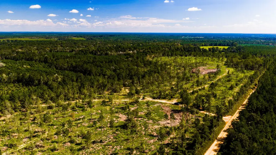 004 Buddy Lloyd Rd, Livingston, TX 77351 - #3