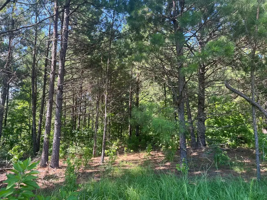 251 Pr 7701, San Augustine, TX 75972 - Image #3