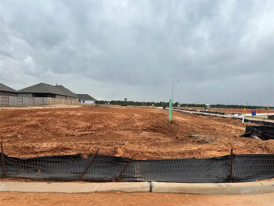 915 Elliott Drive, Nome, TX 77629 - Image #3