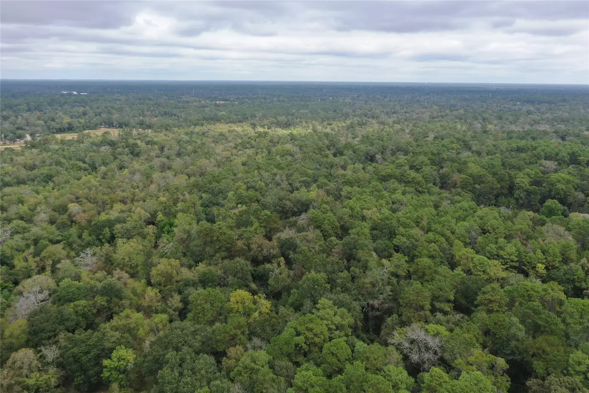 0 Stella Lane, Tomball, TX 77375 - Image #1