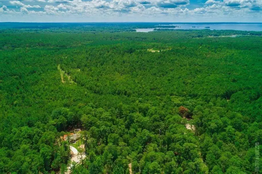 0 Tanoak Lane, Brookeland, TX 75931 - #3