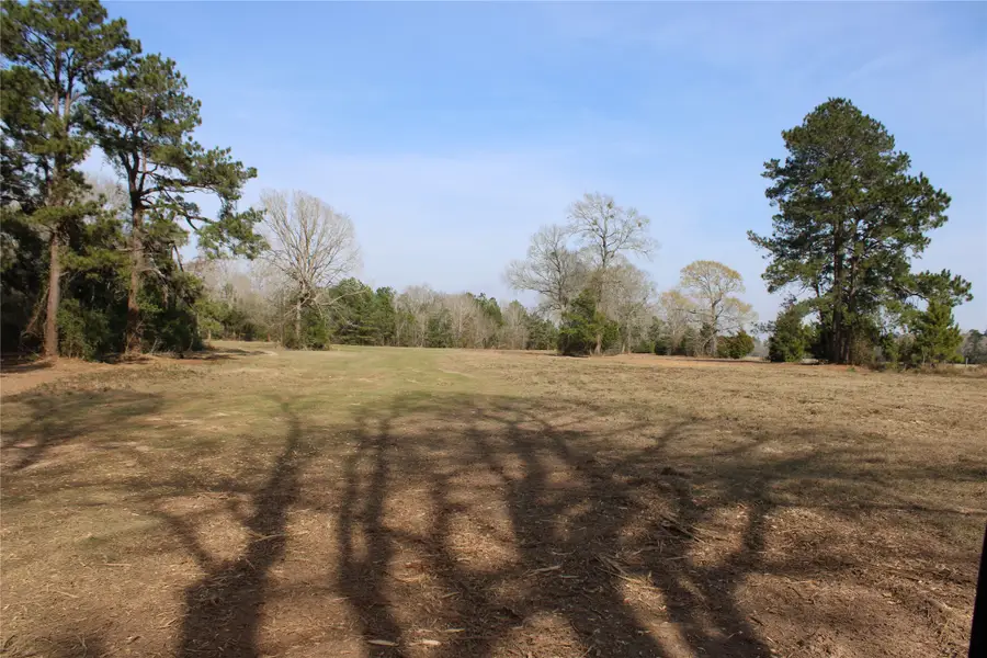 619 Page Road, Shepherd, TX 77371 - #2