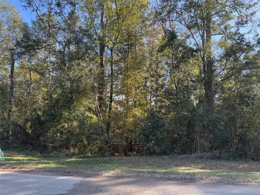 TBD Hunters Trail, New Caney, TX 77357 - Image #2