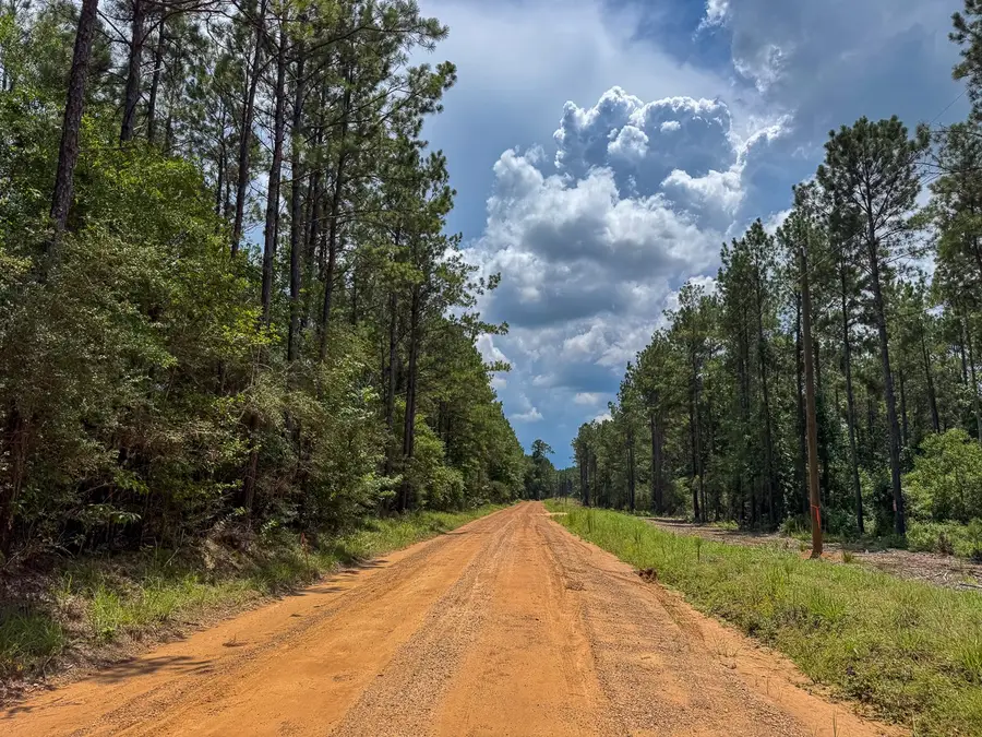 T-3 Benny Griffin Road, Livingston, TX 77351 - #2