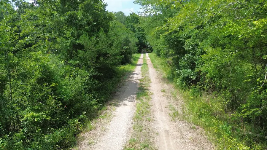 TBD County Road 4030, Crockett, TX 75835 - #2