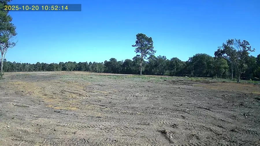 29424 Hegar Road, Hockley, TX 77447 - #2