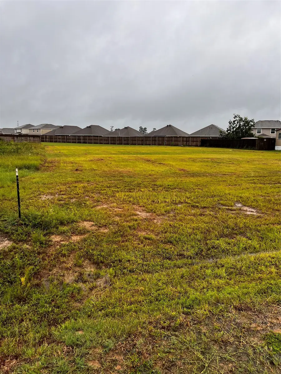 511 Ashlawn Drive, Conroe, TX 77303 - #2