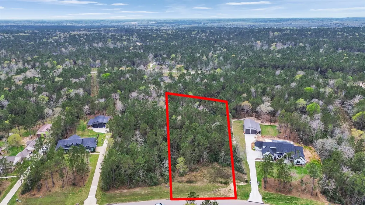 10752 Ruger Road, Willis, TX 77378 - #1