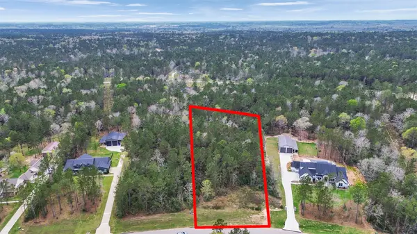 10752 Ruger Road, Willis, TX 77378