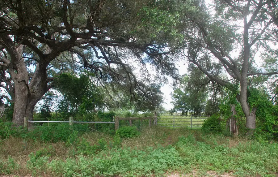 TBD Fm 531, Yoakum, TX 77987 - #3
