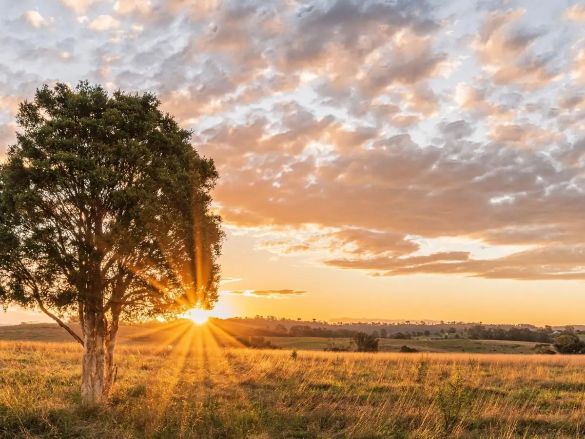 LOT 20 328 Rolling Hill Drive, Cat Spring, TX 78933 - Image #1