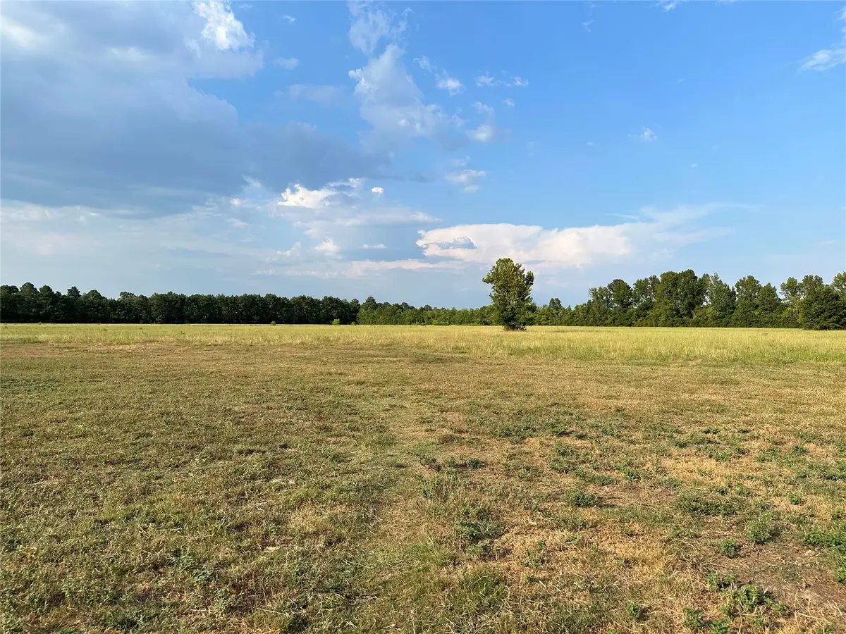 TBD Hwy 105 County Road 2266, Cleveland, TX 77327 - #1