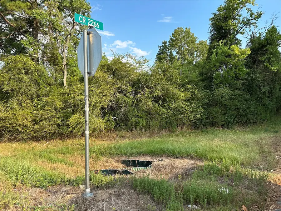 TBD Hwy 105 County Road 2266, Cleveland, TX 77327 - #2