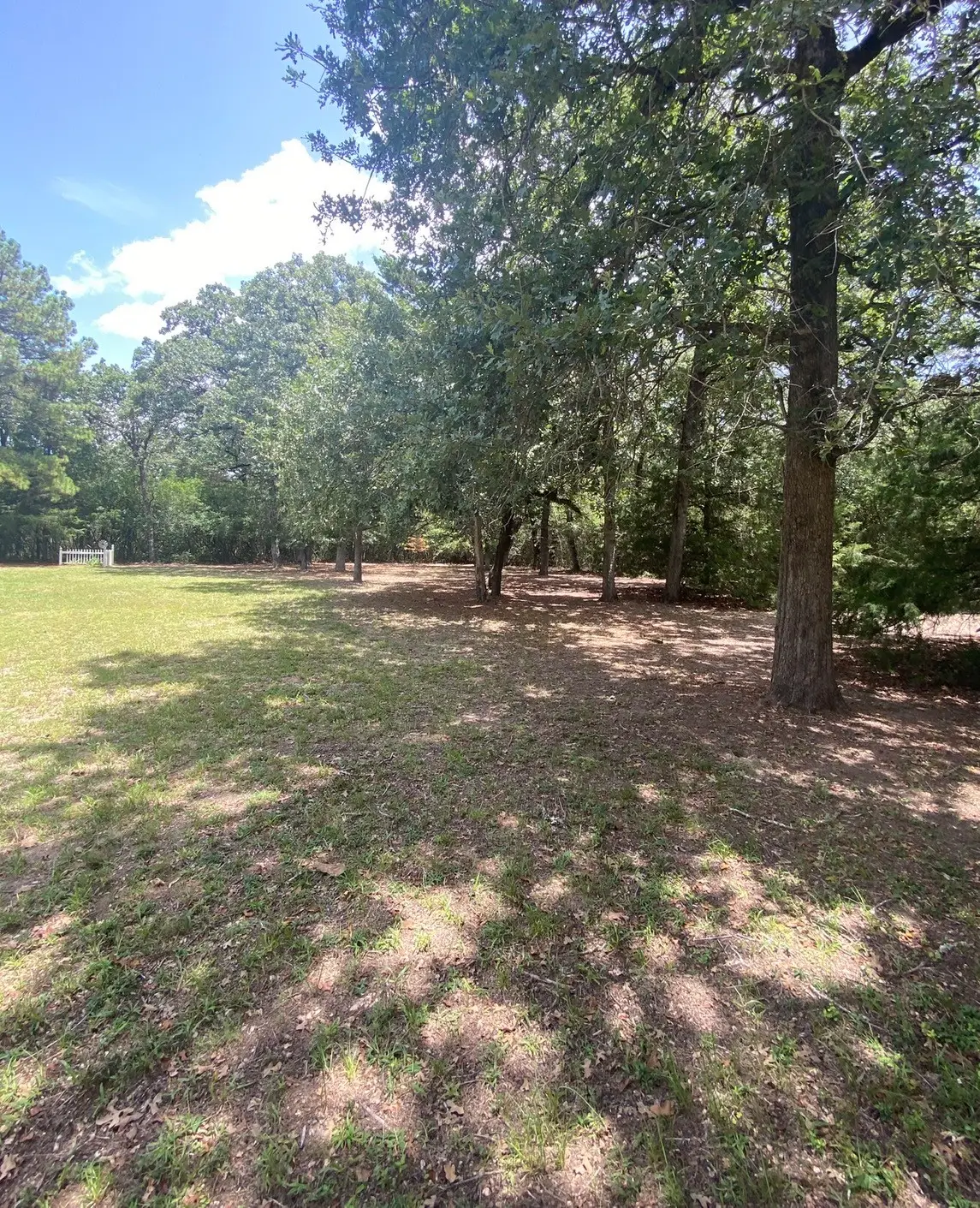 165 Navarro Drive, Hilltop Lakes, TX 77871 - #1