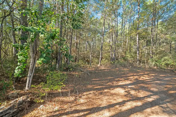 Lot 16 Hackberry Drive, Plantersville, TX 77363