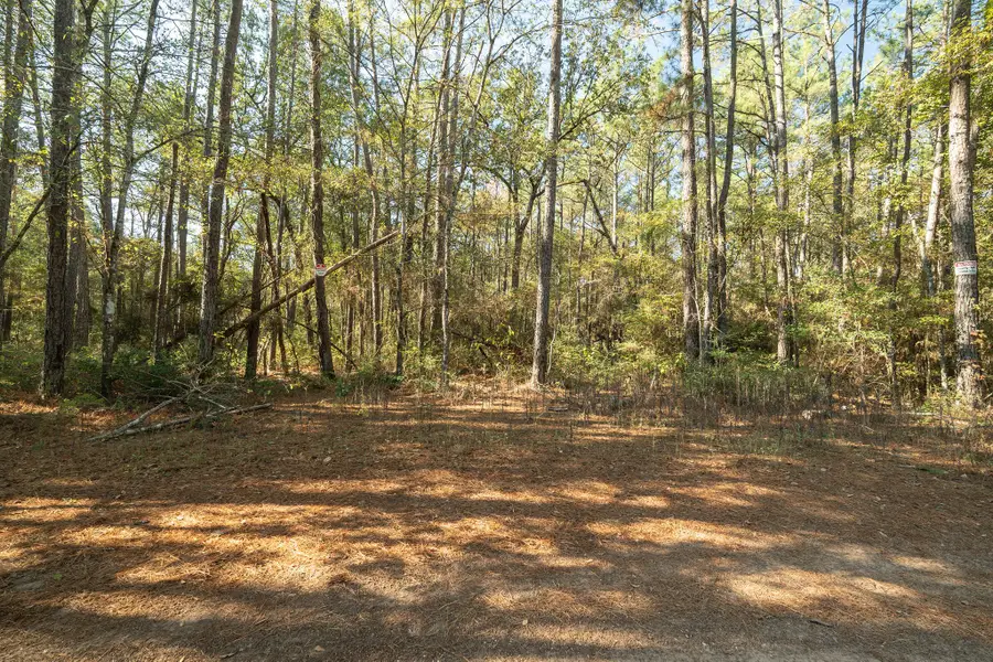 Lot 16 Hackberry Drive, Plantersville, TX 77363 - Image #2