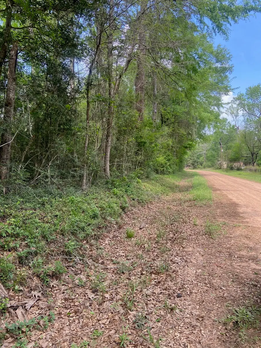 0 Friar Tuck Drive, Shepherd, TX 77371 - #2