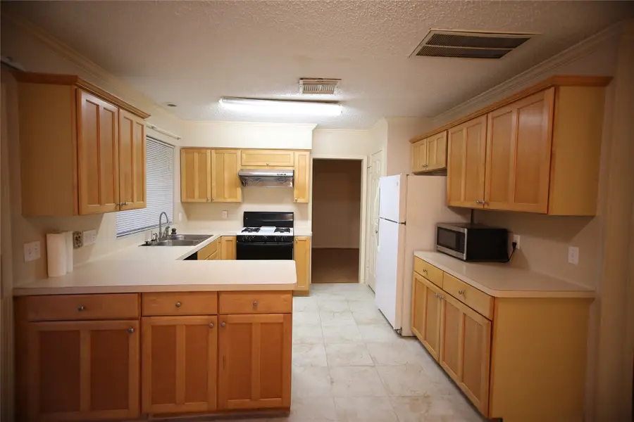 3223 Pecan Draw Court, Sugar Land, TX 77479 - #2