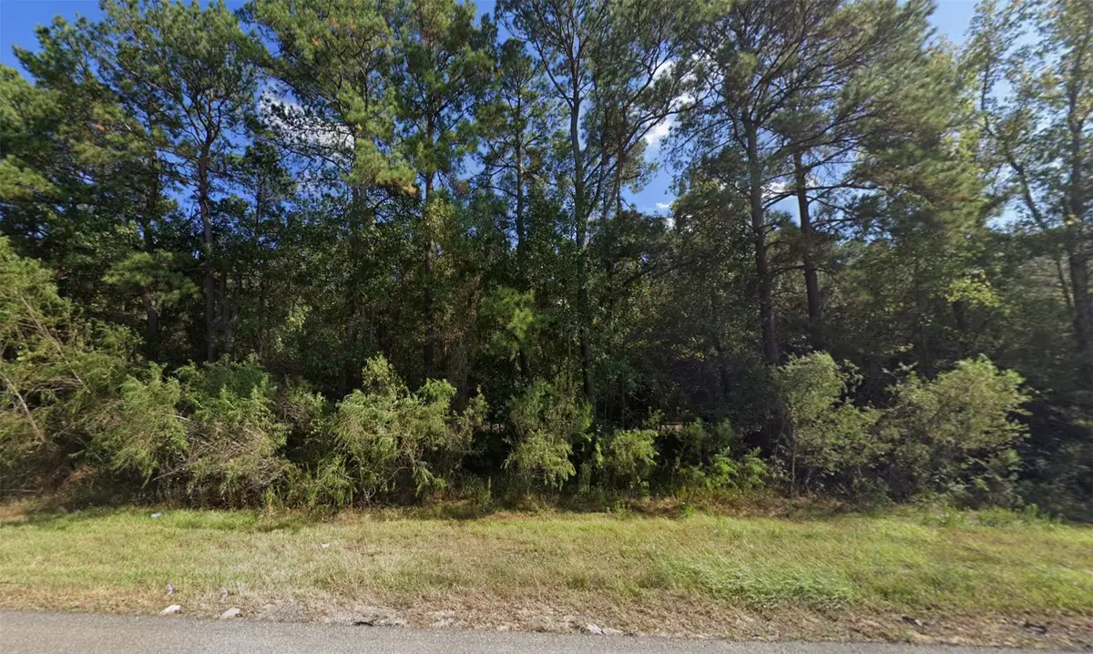 TBD Hwy Us 59, Shepherd, TX 77371 - #1